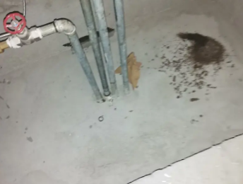 麦积卫生间测漏水价格明细