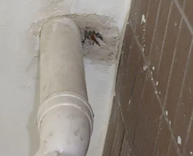 麦积漏水检测哪家好